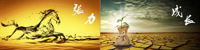 企業(yè)發(fā)展要學(xué)會(huì)取他人之長(zhǎng)、補(bǔ)自己之短